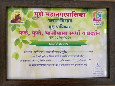 PMC FIRST PRIZE GARDEN MAINTENANCE SERVICES 2020 ACENDAS IT PARK , HINJEWADI